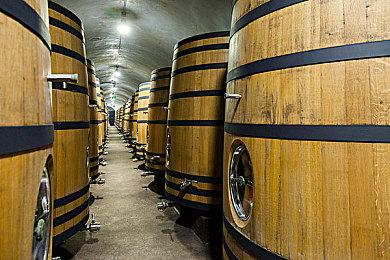 《守望先锋2》B测发布平衡补丁 禅雅塔“金刚腿”新被动